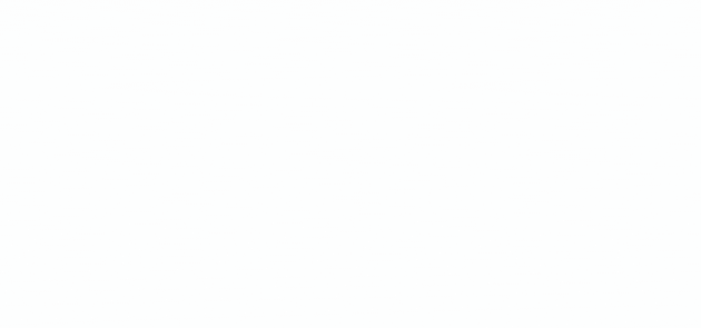 Professional Client Experience