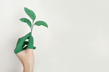 Wondering how personal development coaching can help you? Read on to find out.