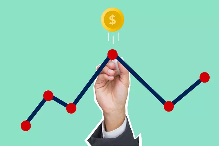 Life Coaching Software
