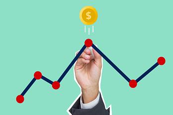 Life Coaching Software