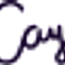 Contract E-signature
