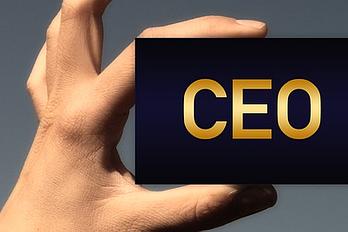 executive coaching platform