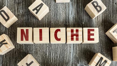 niching to design coaching packages